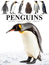Penguins - Jackson Tom - książka
