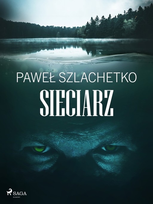 Okładka książki Sieciarz