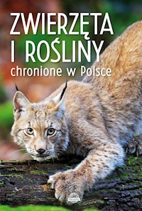 Zwierzęta i rośliny chronione w Polsce -  - książka