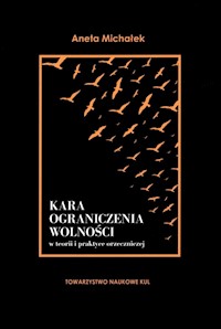 Kara ograniczenia wolności w teorii i praktyce orzeczniczej - Michałek Aneta - książka