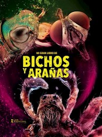 Mi gran libro de bichos y arañas - Grupo editorial Sin Fronteras - ebook