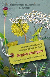 Wildkräuter und Wildfrüchte in der Region Stuttgart. Erkennen, sammeln, anwenden - Brigitte Walde-Frankenberger - ebook