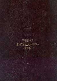 Wielka encyklopedia PWN Tom 17 -  - książka