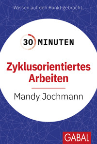 30 Minuten Zyklusorientiertes Arbeiten - Mandy Jochmann - ebook