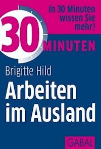 30 Minuten Arbeiten im Ausland - Brigitte Hild - ebook