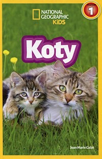National Geographic Kids Koty Poziom 1 - Galat Joan Marie - książka