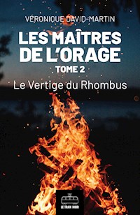 Les Maîtres de l'orage - Tome 2 - Véronique David-Martin - ebook