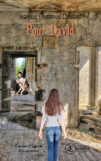 Pour David - Jean-Luc Emmanuel Chassard - ebook
