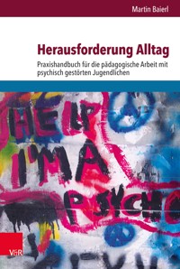 Herausforderung Alltag - Martin Baierl - ebook
