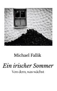 Ein irischer Sommer - Michael Fallik - ebook