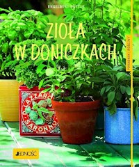 Zioła w doniczkach - Engelbert Kötter - książka