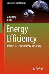 Energy Efficiency - Ming Yang - ebook