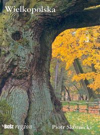 Wielkopolska - Skórnicki Piotr - książka