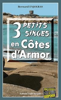 3 petits singes en Côte d'Armor - Bernard Enjolras - ebook