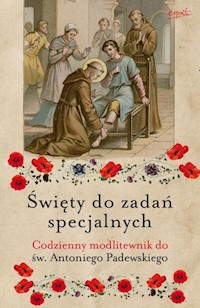 Święty do zadań specjalnych - Myrcha-Kamińska Małgorzata, Siedlecki Zdzisław - książka
