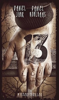 13zehn - Daniel Juhr - ebook