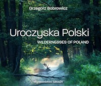 Uroczyska Polski - Bobrowicz Grzegorz - książka