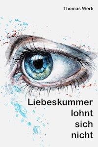Liebeskummer lohnt sich nicht - Thomas Werk - ebook