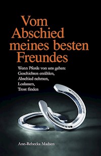 Vom Abschied meines besten Freundes - Ann-Rebecka Madsen - ebook