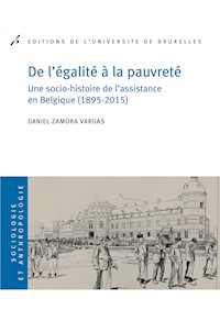 De l'égalité à la pauvreté - Daniel Zamora Vargas - ebook