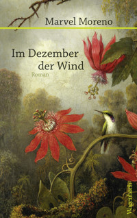 Im Dezember der Wind - Marvel Moreno - ebook