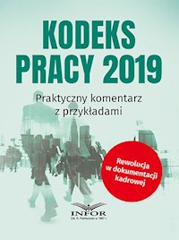 Kodeks Pracy 2019 -  - książka
