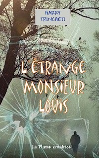 L'étrange Monsieur Louis - Harry Trincheti - ebook
