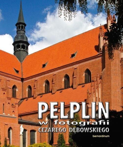 Pelplin w fotografii Cezarego Dębowskiego BR - Cezary  Dębowski - książka