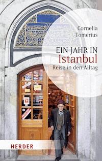 Ein Jahr in Istanbul - Cornelia Tomerius - ebook