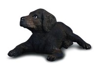 Pies Labrador szczeniak -  - książka