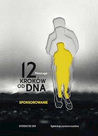 12 kroków od dna Sponsorowanie - Meszuge - książka