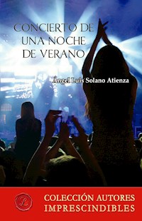 Concierto de una noche de verano - Ángel Luis Solano Atienza - ebook