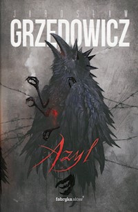 Azyl - Jarosław Grzędowicz - ebook + audiobook + książka