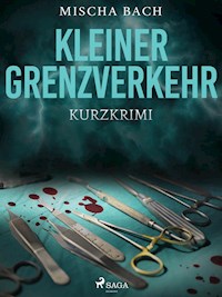 Kleiner Grenzverkehr - Kurzkrimi - Mischa Bach - ebook