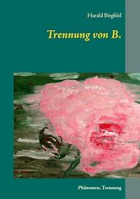 Trennung von B. - Harald Birgfeld - ebook