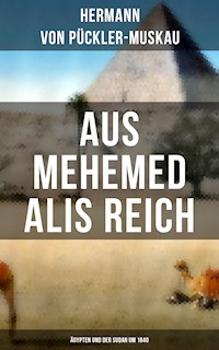 AUS MEHEMED ALIS REICH: Ägypten und der Sudan um 1840 - Hermann von Pückler-Muskau - ebook