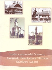 Szkice z przeszłości Brzeszcz, Jawiszowic, Przeciszyna, Skidzinia, Wilczkowic i Zasola - pod redakcją - ebook