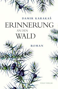 Erinnerung an den Wald - Damir Karakaš - ebook