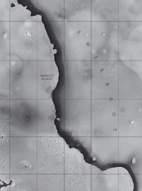 Świergot - Mokry Marcin - książka