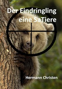 Der Eindringling - Hermann Christen - ebook