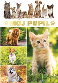 Mój pupil -  - książka