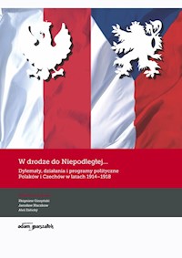 W drodze do Niepodległej Dylematy działania i programy polityczne Polaków i Czechów w latach 1914-1918 -  - książka