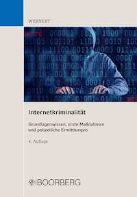 Internetkriminalität - Manfred Wernert - ebook