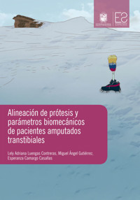 Alineación de prótesis y parámetros biomecánicos de pacientes amputados transtibiales - Lely Adriana Luengas Contreras - ebook