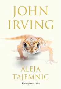 Aleja tajemnic - John Irving - książka