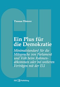 Ein Plus für die Demokratie - Thomas Pfisterer - ebook