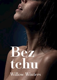 Bez tchu - Winters Willow - ebook + książka