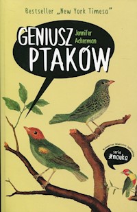 Geniusz ptaków - Ackerman Jennifer - książka