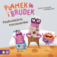Plamek i Brudek. Paskudaśna nocowanka - Pervan Jelena - audiobook