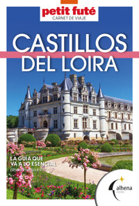 Castillos del Loira – Carnet de viaje - VVAA - ebook